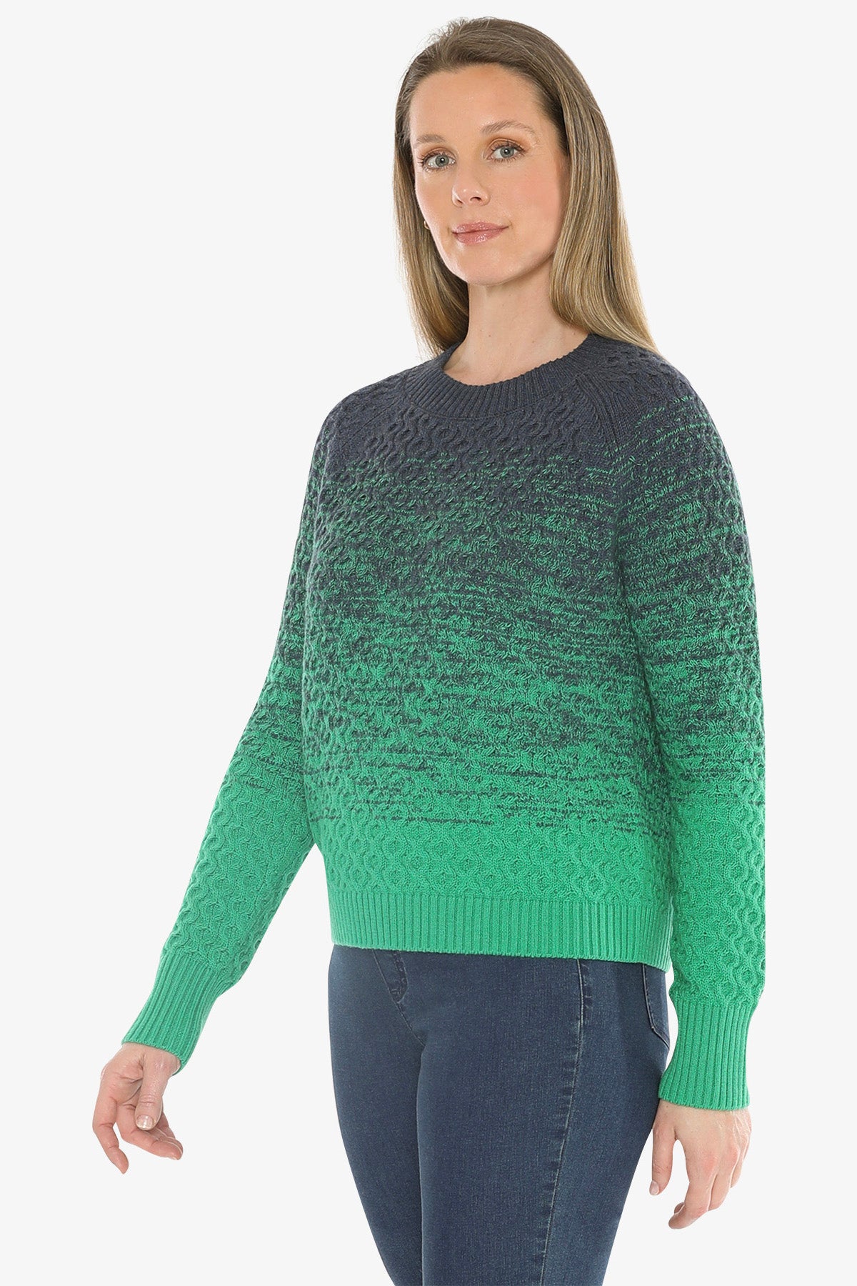 Textured Ombre Pullover in Multi