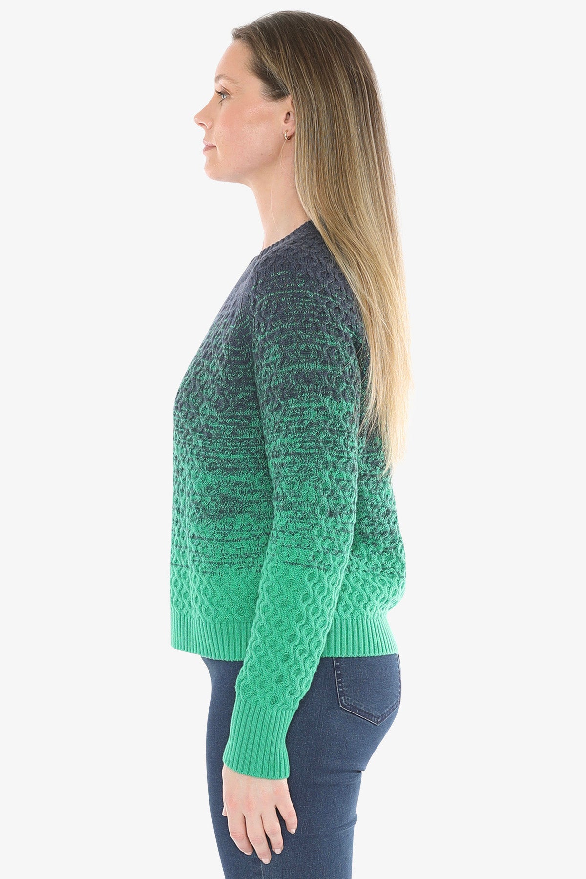 Textured Ombre Pullover in Multi